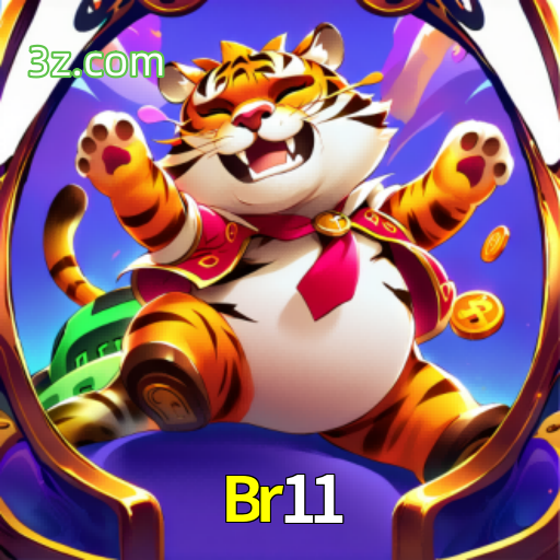  Br11